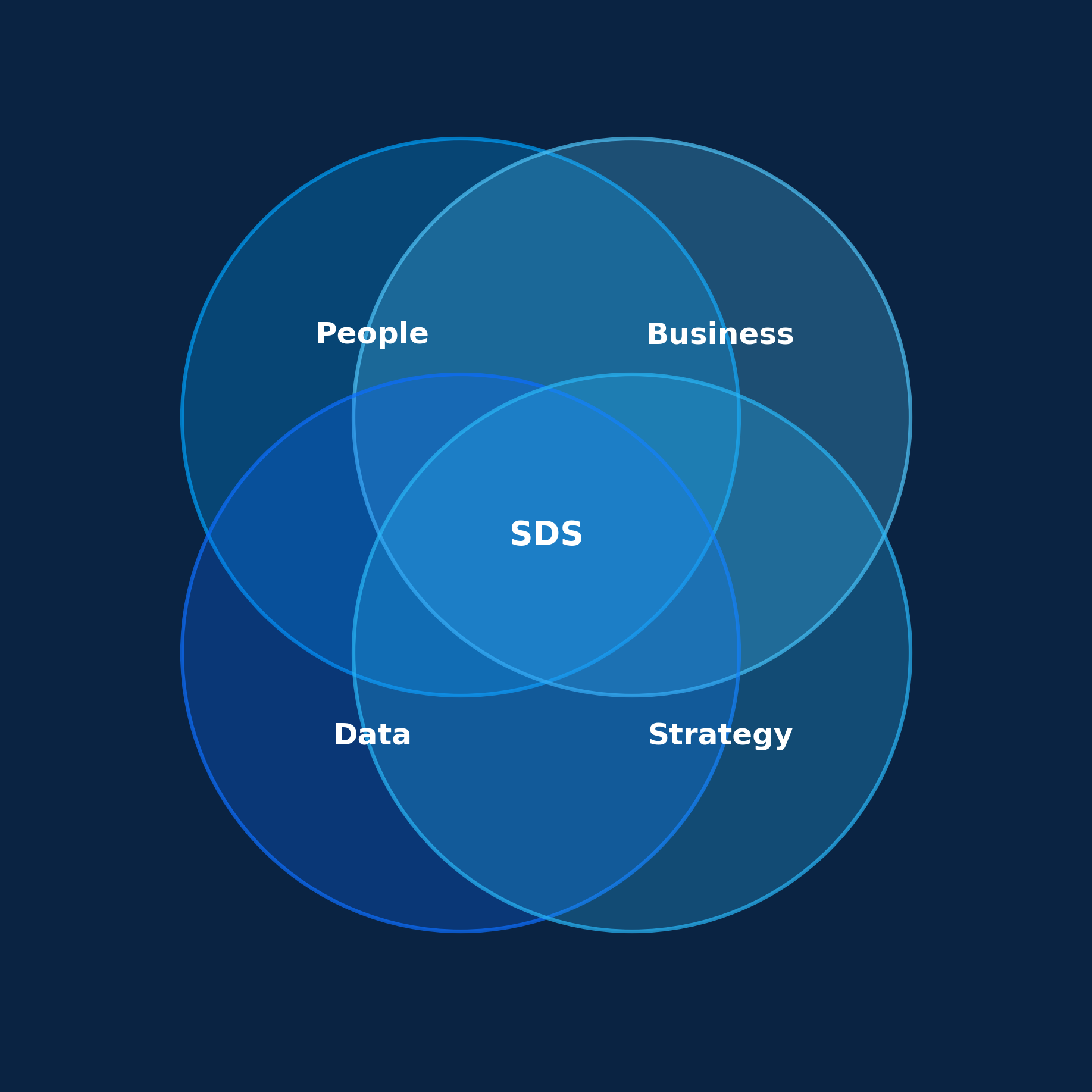 People, Business, Data, and Strategy — the four pillars of SDS